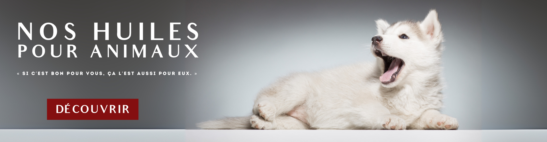Pharma Cbd Care Animaux