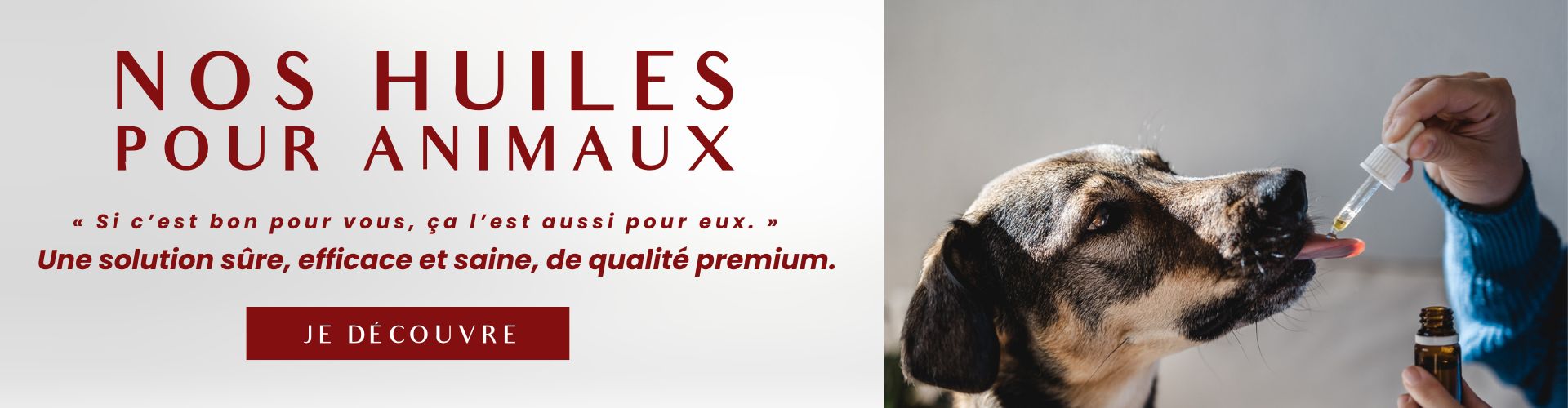 Huiles Animaux Cbd Pharma Care