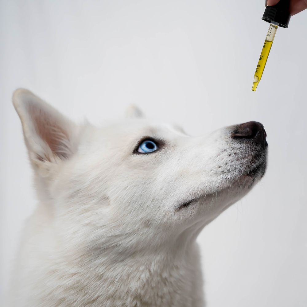Huile Animaux Pharma Care